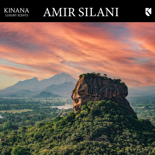 AMIR SILANI
