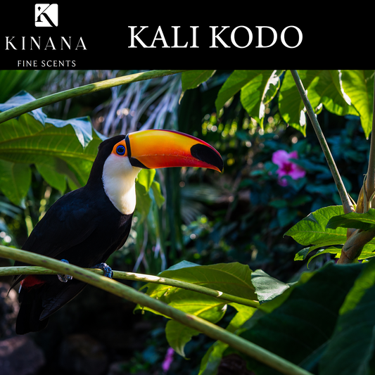 KALI KODO