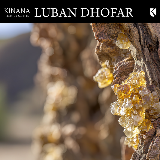 LUBAN DHOFAR