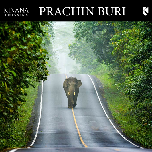 PRACHIN BURI