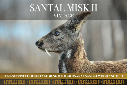 SANTAL MISK II